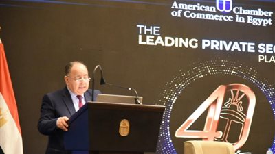 وزير المالية في غرفة التجارة الأمريكية: لجنة لمتابعة الإنفاق على المشروعات القومية