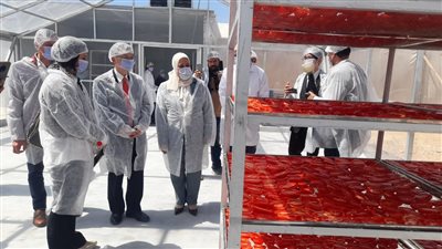 السفير الياباني يفتتح أول مجفف للخضروات والفاكهة يعمل بالطاقة الشمسية في الأقصر 