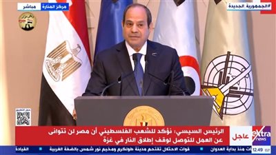 الرئيس السيسي: 
