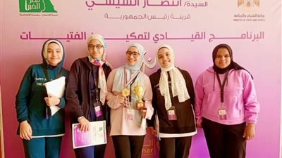 ندوات ثقافية وورش عمل  بمراكز شباب المنيا 