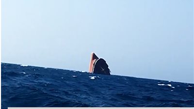 لقطات جديدة تكشف حجم أضرار السفينة روبيمار (فيديو)