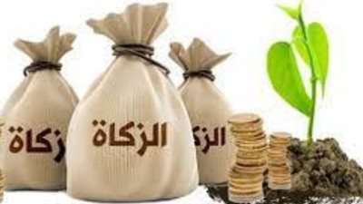 ما معنى الزكاة والصدقة لغوياً؟