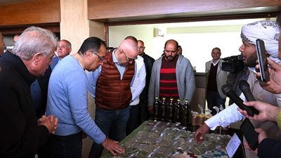 حواس: المصريين القدماء اهتموا بسيناء اهتمامًا بالغًا نظرًا لقيمتها الكبيرة