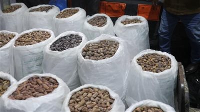 محافظ كفرالشيخ يتابع توافر السلع بمعارض 