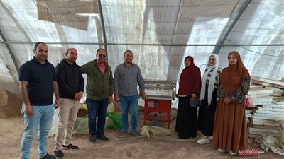 فرق لفحص الزراعات الشتوية في مراكز كفر الشيخ