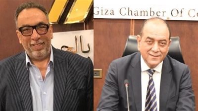 إنذار على يد مُحضر لرئيس غرفة الجيزة بسبب شعبة الصيادلة