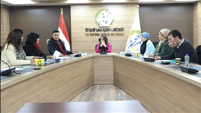 الفنون والآداب بالقومي للمرأة تُناقش خطة عملها بالفترة المقبلة
