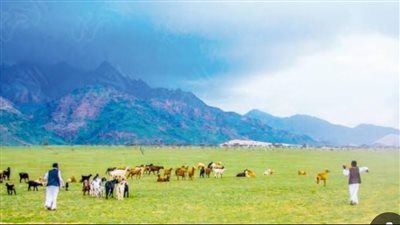 حلايب أول مدينة مصرية ترفع أذان المغرب اليوم