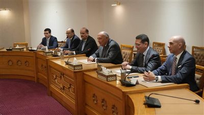 وزير الخارجية يحذر من اتساع رقعة الحرب في غزة.. تهديد للعالم أجمع