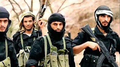 الجيش المالي يصفي جليبيب الأنصاري القيادي البارز في القاعدة 