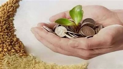 قيمة زكاة الفطر في رمضان 2024