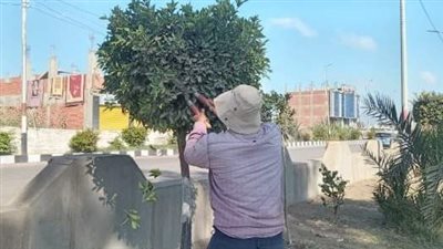 محافظ الشرقية: تهيئة الأجواء أمام المواطنين والزائرين في شهر رمضان