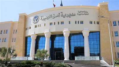 الأمن يضبط شقيقين بتهمة التنقيب عن الآثار