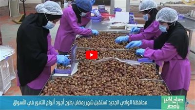 الوادي الجديد تستقبل رمضان بطرح أجود أنواع التمور في الأسواق