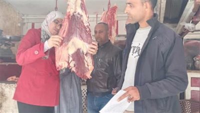 ضبط نصف طن دواجن ولحوم فاسدة في حملات بالمنيا