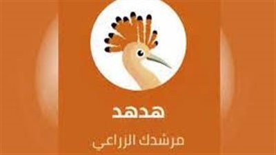 هل يؤدي تطبيق «هدهد» ما عليه؟