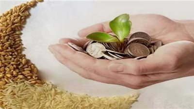 موعد إخراج زكاة الفطر والفئات المستحقة لها