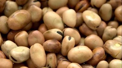 تراجع سعر الفول ثالث أيام رمضان عند التاجر