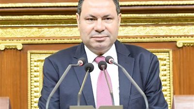 رئيس زراعة النواب: زيادة سعر توريد القمح لـ 2000 جنيه تأكيد علي دعم الدولة للمزارعين