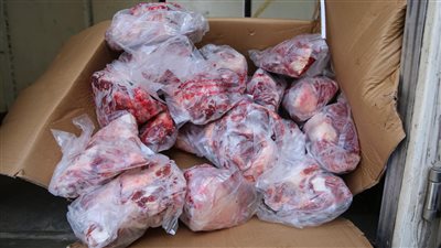  الأقصر: تسليم اللحوم الطازجة لـ 73425 مواطنًا