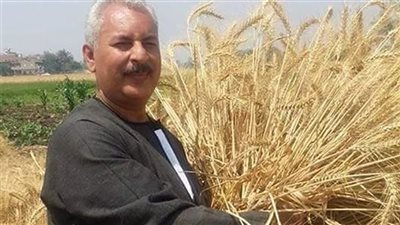 نقيب الفلاحين: 2000 جنيه لإردب القمح سعر مرضي وعادل