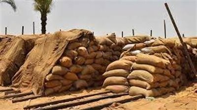 الحكومة تتخذ خطوات جادة لدعم الأمن الغذائي