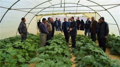 جامعة العريش تطرح منتجات مزارعها بأسعار  تنافسية لأهالي سيناء