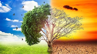 شتاء بأجواء صيفية.. تغيرات مناخية تربك دواليب المواطنين
