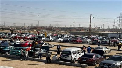 انتظام العمل بسوق سيارات بني سويف 