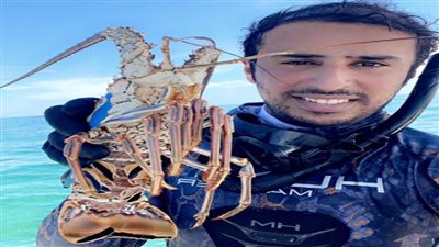 محمد الكواري يتحدث عن 