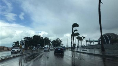 تقلبات جوية وأمطار خفيفة على مدن الإسكندرية 
