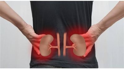 الكشف عن أعراض جديدة تنذر بموجود مشكلة صحية في الكلى