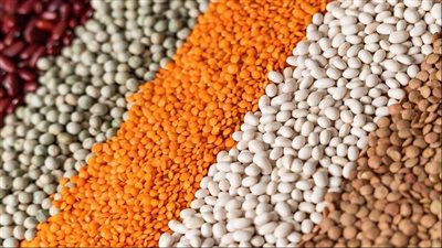 البقوليات.. بروتين نباتي لصحة القلب والسيطرة على الوزن