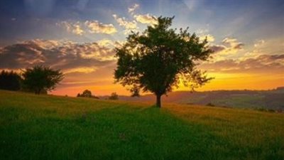 أذكار وأدعية الصباح والمساء