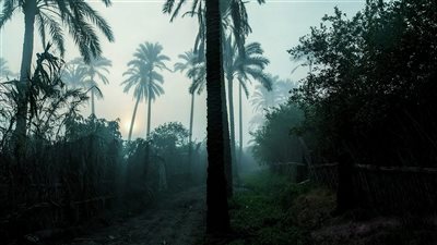 أحوال جوية غير مستقرة بالبحيرة اليوم الأحد