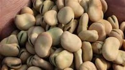 سعر الفول اليوم الأحد سابع أيام رمضان عند التاجر.. المستورد بكام