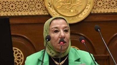 حياة خطاب: قرارات العفو الرئاسي أدخلت الفرحة على قلوب المصريين 