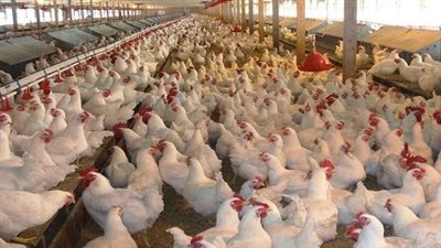 الهندسة القيمية.. الرياض تحتضن 