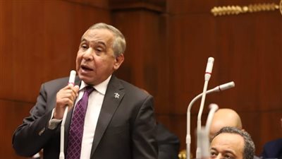 طارق رسلان: نطالب بقاعدتي بيانات للطلاب المصريين بالخارج والجامعات المعتمدة