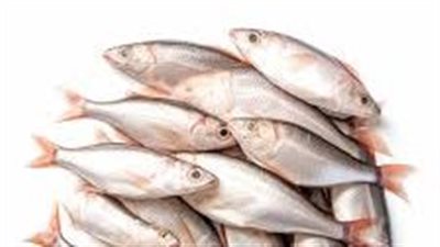 طبيبة تحذر من جمع بعض الأطعمة مع الأسماك.. تسبب مشاكل في الهضم 