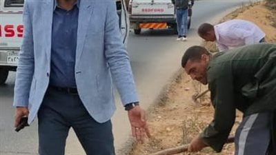  رئيس مطاي يتابع  زراعة الأشجار المثمرة والزينة 