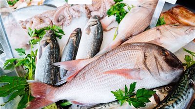 أسعار السمك اليوم الأربعاء بـ سوق العبور