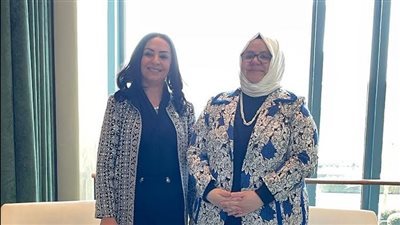 مايا مرسي تلتقي مدير مركز البحوث والتدريب للدول الإسلامية 