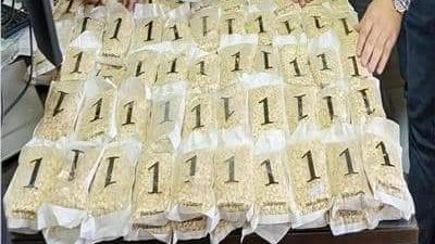 كنتلوب وخس باقراص الكبتاجون بميناء سفاجا