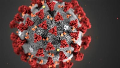 العلماء يكتشفون قدرة دواء ضد 