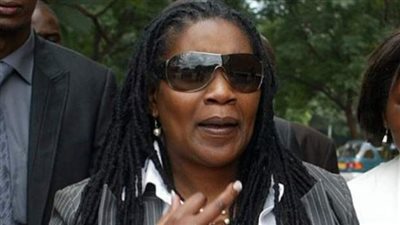 القبض على رئيس التعدين في زيمبابوي بتهمة الاحتيال