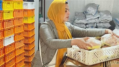 ضبط طن سكر و٣ أطنان دجاج مجهولة المصدر في حملة تموينية بالإسماعيلية