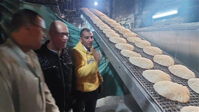 حملات تموينية في مركزى الحامول ودسوق