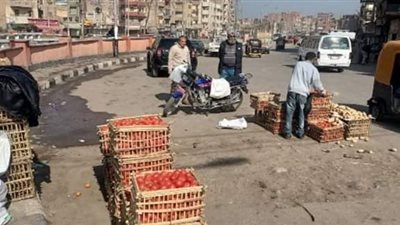 حملات يومية لإزالة تعديات البناء المخالف على الأراضي الزراعية وحرم الشوارع بالشرقية 