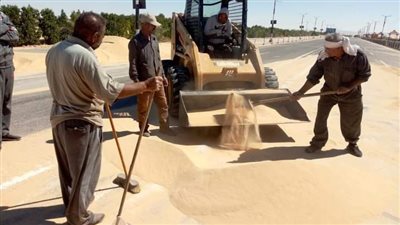 الوادي الجديد : الرمال الزاحفة تعوق حركة المرور بالطرق الرئيسية 